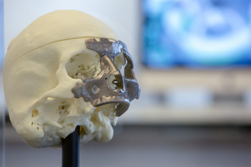 Calavera en 3D Calavera en 3D