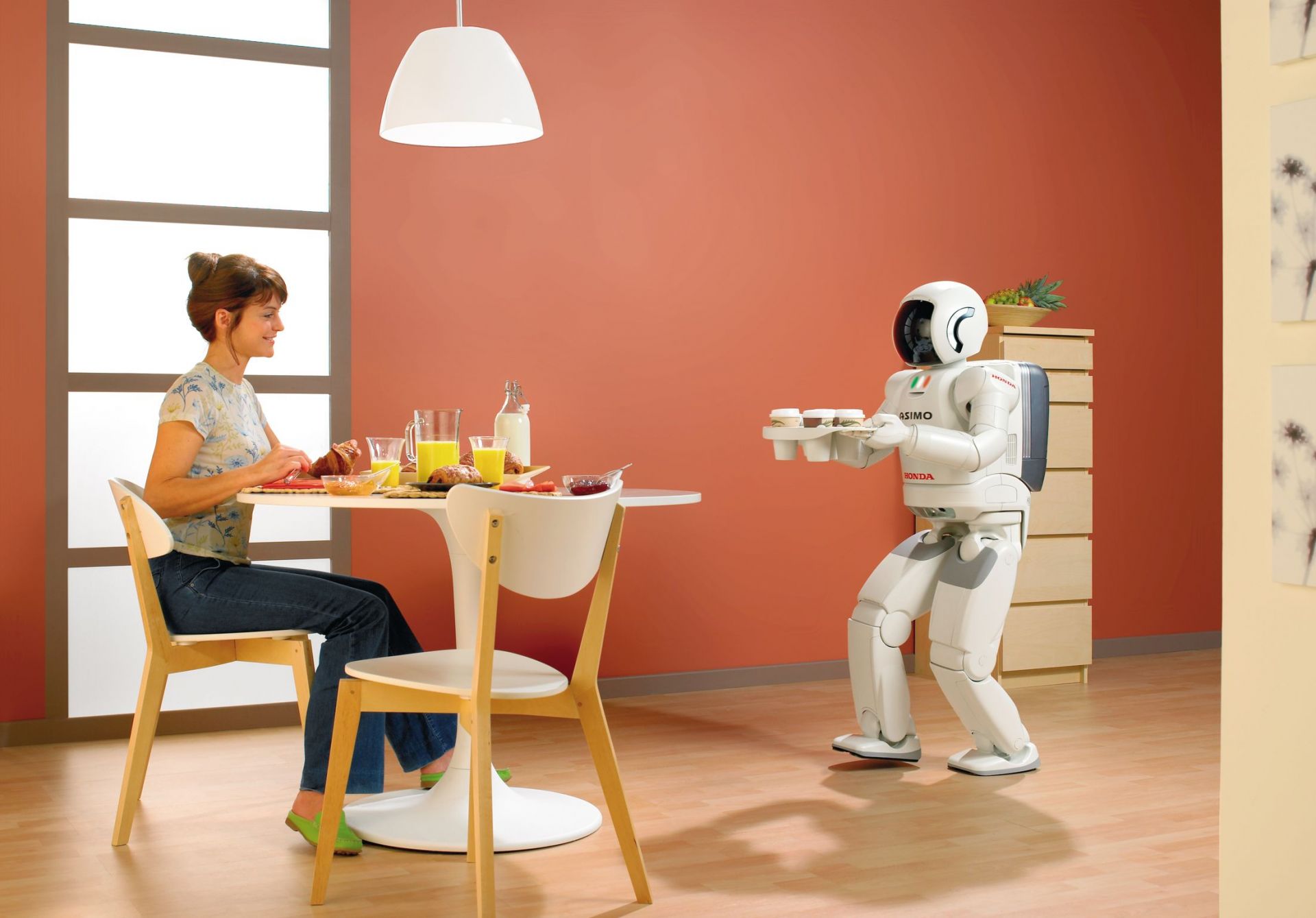 Robots domésticos