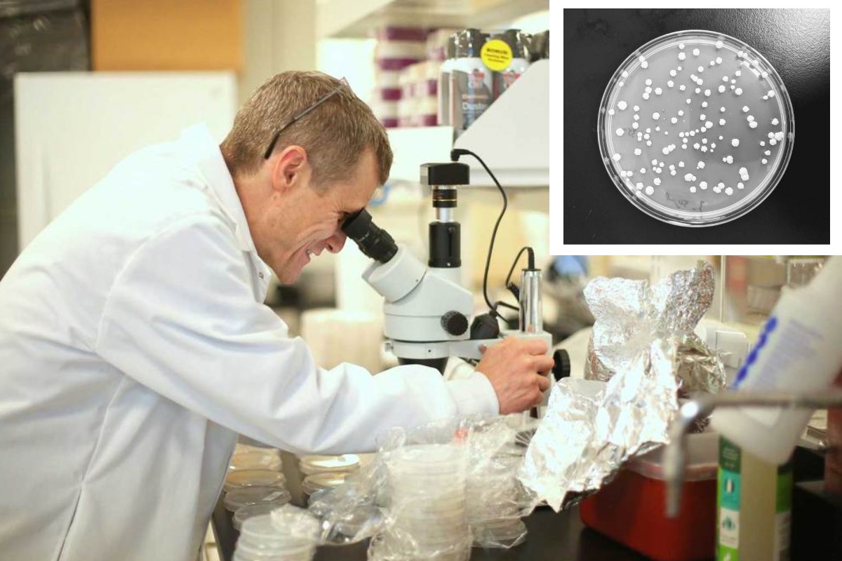 AAJ250-biomateriales-transforman-deporte-investigacion Los biomateriales transforman el deporte