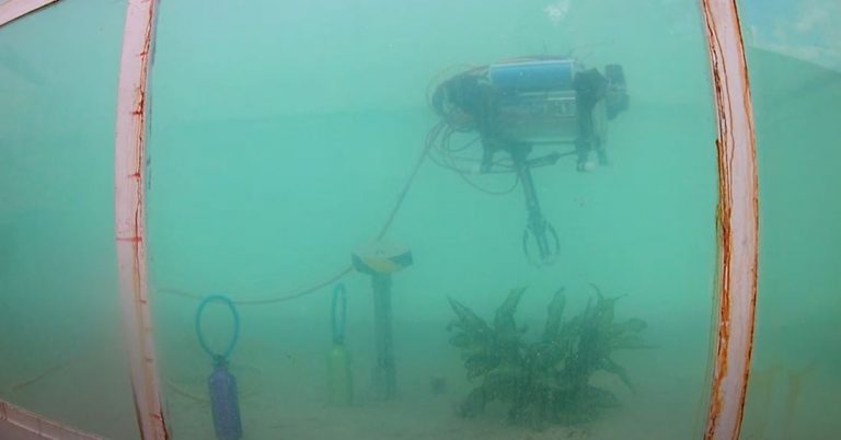 ¿Y si los robots fueran la solución a la acumulación de basura de los océanos?