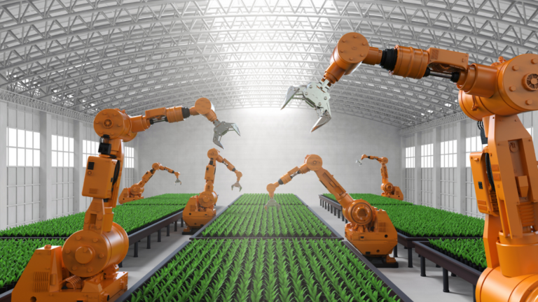 Claves para la transformación digital del sector alimentario