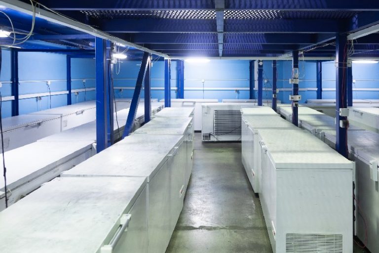Tecnologías disruptivas en procesos de refrigeración