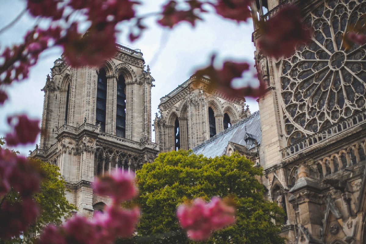 El entorno de Notre Dame se reinventa con Autodesk