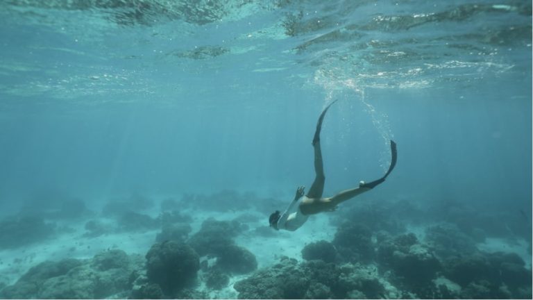 Innovación Sostenible: La nueva aleta de buceo de Decathlon revoluciona el diseño ecológico